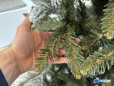 De hand van iemand houdt een tak van een kerstboom vast.